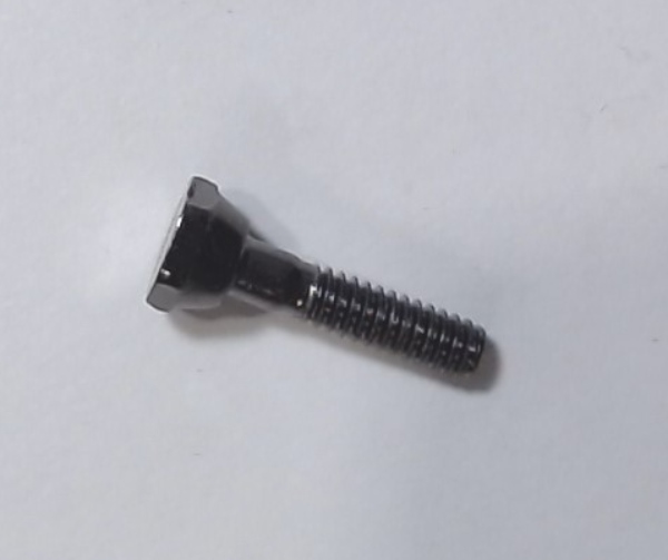 ECCENTRIC SCREW / BLACKENED / M2.5 x 0.45 x 13.5mm L x 2.4mm D / GLOSS