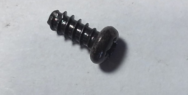 SCREW / PANHD / SELF-CUTTING / 5.5mm x 2.5mm 