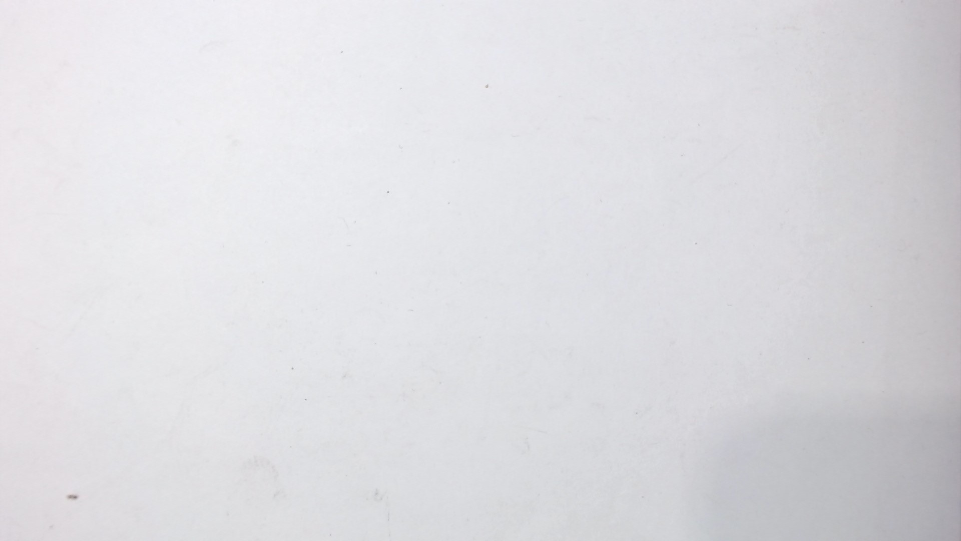 LADDER / LIGHT GREEN / MOUNTS TO FRAME / PREMIER 70' STREAMLINED RPO CAR