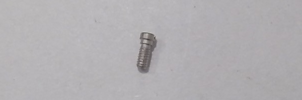 ECCENTRIC SCREW / FLAT HEAD SLOT / SATIN SILVER / HO SCALE N&W J 4-8-4
