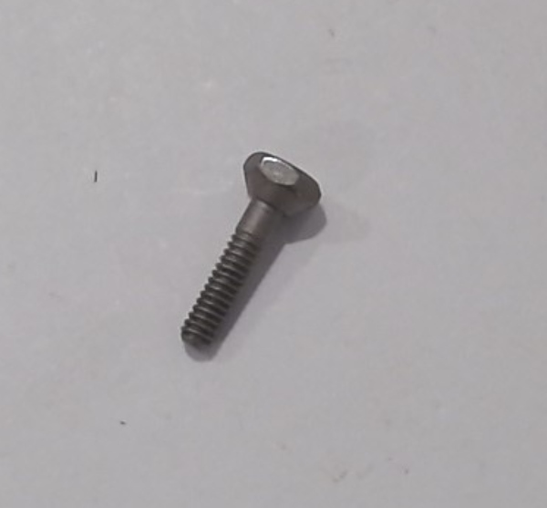 ECCENTRIC SCREW / BLACKENED / M2.5 x 0.45 x 13.5mm L x 2.4mm D 