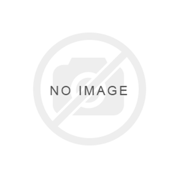 4-WHEEL TRAILING TRUCK / BLACK / PS 2 & 3 / PREMIER CHALLENGER 4-6-6-4