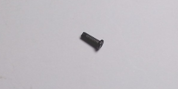 SCREW / CHSHD / M2 x 0.4 x 5.7mm L