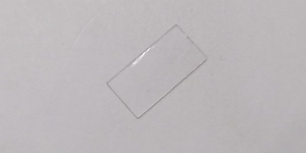 WINDOW / DOOR / RAILKING F59PH