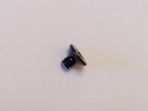 SCREW / FLTHD / M3 x 0.45 x 1.7mm L