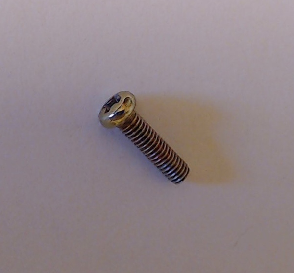 SCREW / PANHD / GALVANIZED / M2.5 x 0.45 x 9.5mm L 