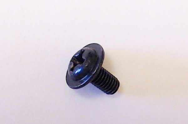 SCREW / WSHRHD / M3 x 0.5 x 5.5mm L / SM3050W